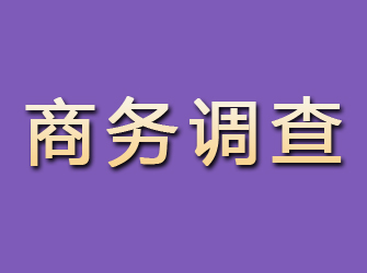 中山商务调查